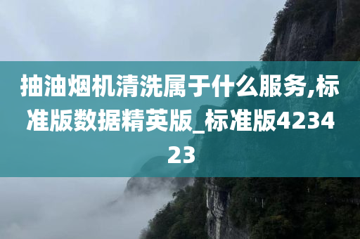 抽油烟机清洗属于什么服务,标准版数据精英版_标准版423423