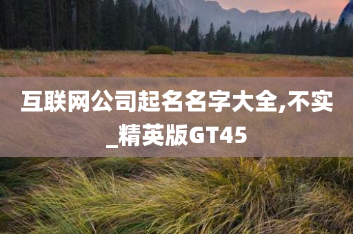 互联网公司起名名字大全,不实_精英版GT45