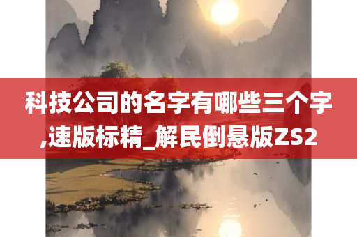 科技公司的名字有哪些三个字,速版标精_解民倒悬版ZS2