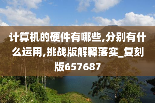 计算机的硬件有哪些,分别有什么运用,挑战版解释落实_复刻版657687