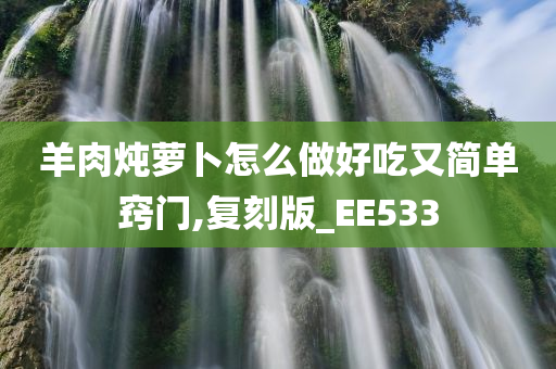 羊肉炖萝卜怎么做好吃又简单窍门,复刻版_EE533