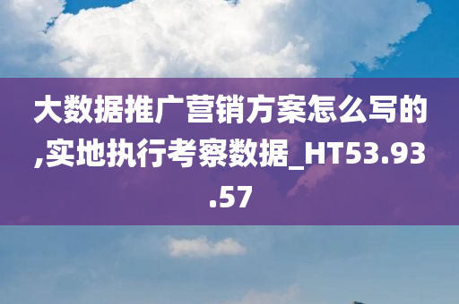 大数据推广营销方案怎么写的,实地执行考察数据_HT53.93.57