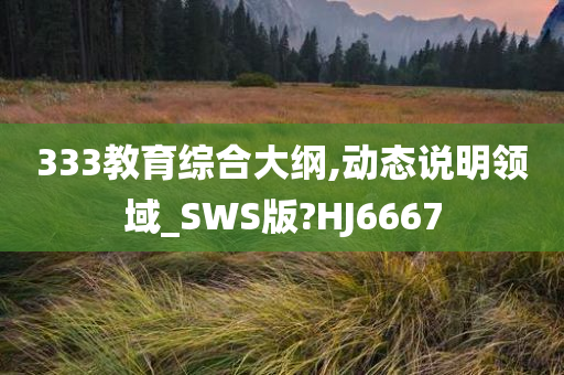 333教育综合大纲,动态说明领域_SWS版?HJ6667