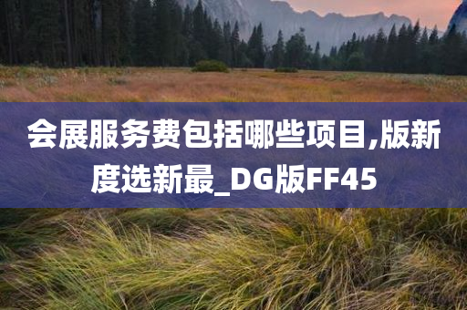 会展服务费包括哪些项目,版新度选新最_DG版FF45