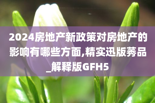 2024房地产新政策对房地产的影响有哪些方面,精实迅版莠品_解释版GFH5