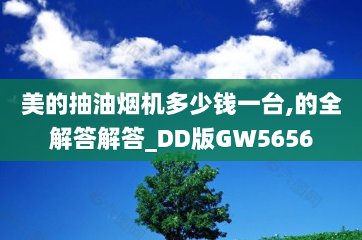 美的抽油烟机多少钱一台,的全解答解答_DD版GW5656