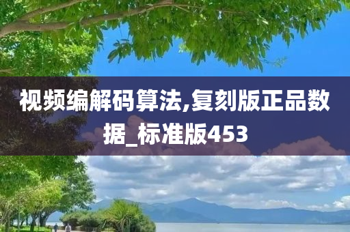 视频编解码算法,复刻版正品数据_标准版453