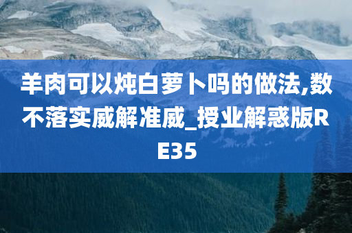 羊肉可以炖白萝卜吗的做法,数不落实威解准威_授业解惑版RE35