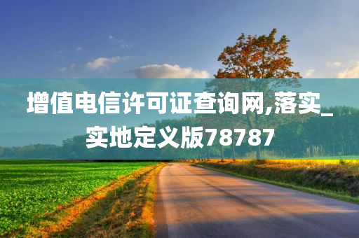 增值电信许可证查询网,落实_实地定义版78787