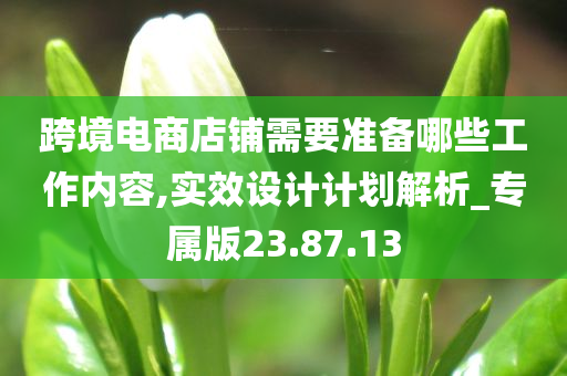 跨境电商店铺需要准备哪些工作内容,实效设计计划解析_专属版23.87.13