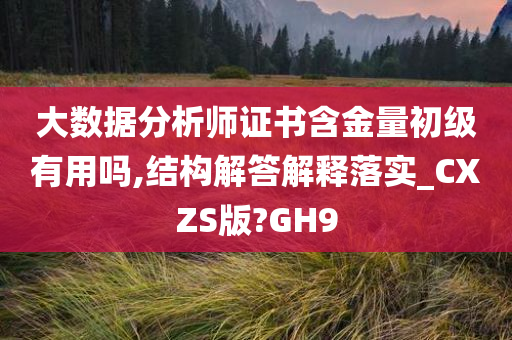 大数据分析师证书含金量初级有用吗,结构解答解释落实_CXZS版?GH9