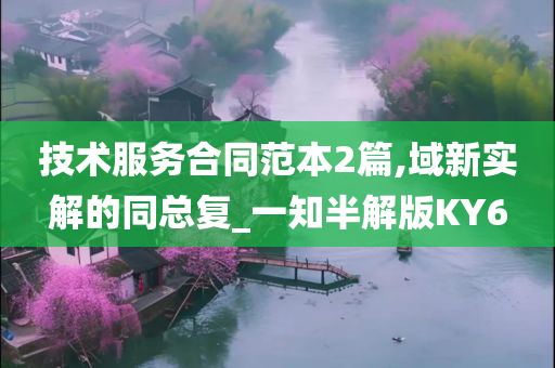 技术服务合同范本2篇,域新实解的同总复_一知半解版KY6