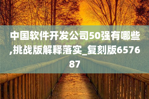 中国软件开发公司50强有哪些,挑战版解释落实_复刻版657687