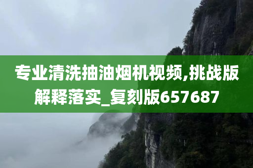 专业清洗抽油烟机视频,挑战版解释落实_复刻版657687