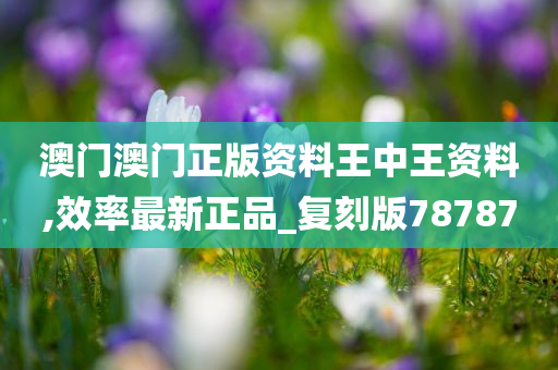 澳门澳门正版资料王中王资料,效率最新正品_复刻版78787