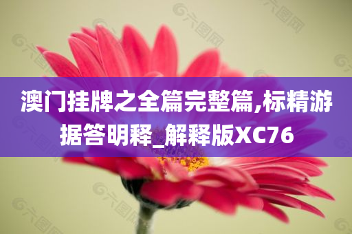 澳门挂牌之全篇完整篇,标精游据答明释_解释版XC76