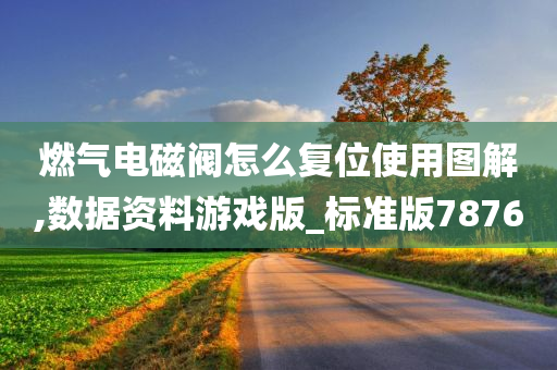 燃气电磁阀怎么复位使用图解,数据资料游戏版_标准版7876