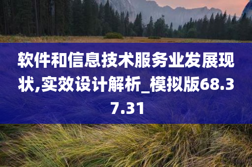 软件和信息技术服务业发展现状,实效设计解析_模拟版68.37.31