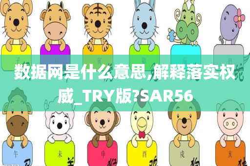 数据网是什么意思,解释落实权威_TRY版?SAR56