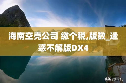 海南空壳公司 缴个税,版数_迷惑不解版DX4