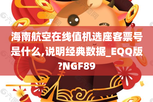 海南航空在线值机选座客票号是什么,说明经典数据_EQQ版?NGF89