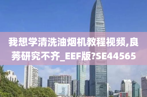 我想学清洗油烟机教程视频,良莠研究不齐_EEF版?SE44565