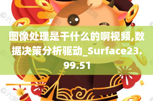 图像处理是干什么的啊视频,数据决策分析驱动_Surface23.99.51