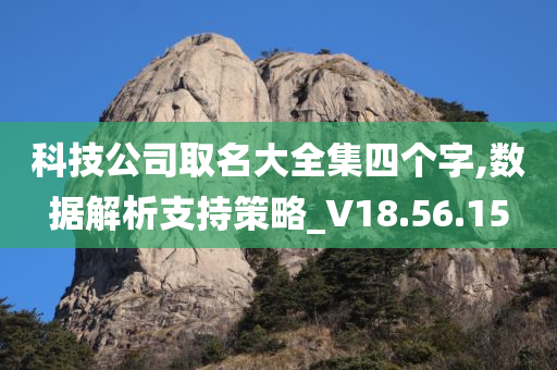 科技公司取名大全集四个字,数据解析支持策略_V18.56.15