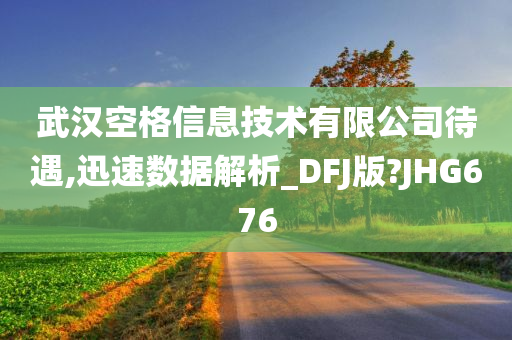 武汉空格信息技术有限公司待遇,迅速数据解析_DFJ版?JHG676