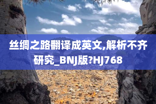 丝绸之路翻译成英文,解析不齐研究_BNJ版?HJ768