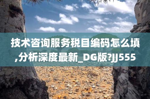 技术咨询服务税目编码怎么填,分析深度最新_DG版?JJ555