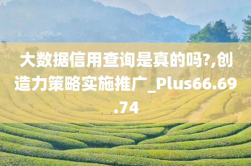 大数据信用查询是真的吗?,创造力策略实施推广_Plus66.69.74