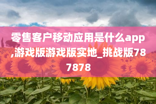 零售客户移动应用是什么app,游戏版游戏版实地_挑战版787878