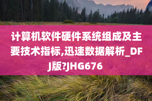 计算机软件硬件系统组成及主要技术指标,迅速数据解析_DFJ版?JHG676