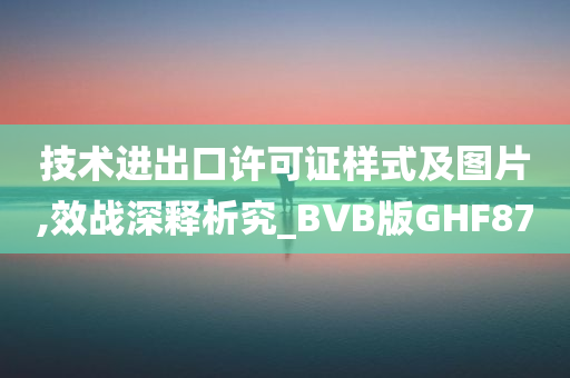 技术进出口许可证样式及图片,效战深释析究_BVB版GHF87