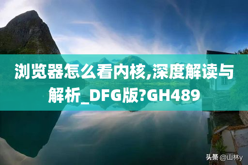 浏览器怎么看内核,深度解读与解析_DFG版?GH489