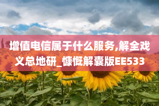 增值电信属于什么服务,解全戏义总地研_慷慨解囊版EE533