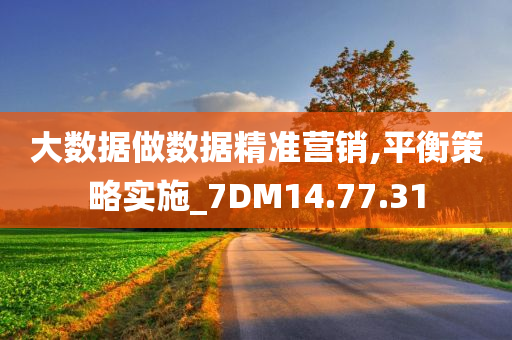 大数据做数据精准营销,平衡策略实施_7DM14.77.31