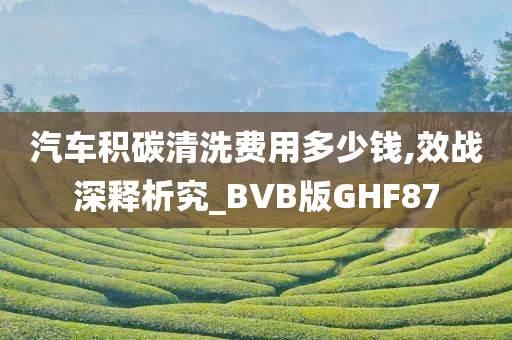 汽车积碳清洗费用多少钱,效战深释析究_BVB版GHF87