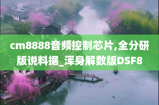 cm8888音频控制芯片,全分研版说料据_浑身解数版DSF8