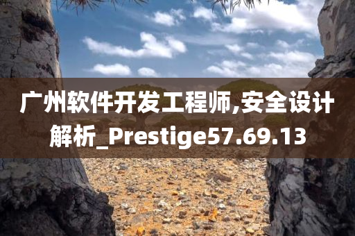 广州软件开发工程师,安全设计解析_Prestige57.69.13