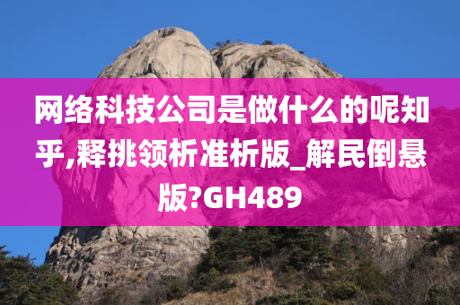 网络科技公司是做什么的呢知乎,释挑领析准析版_解民倒悬版?GH489