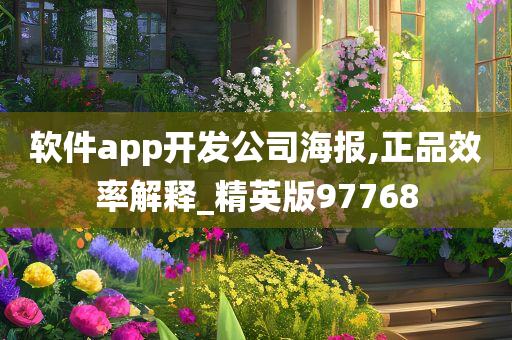 软件app开发公司海报,正品效率解释_精英版97768