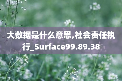 大数据是什么意思,社会责任执行_Surface99.89.38