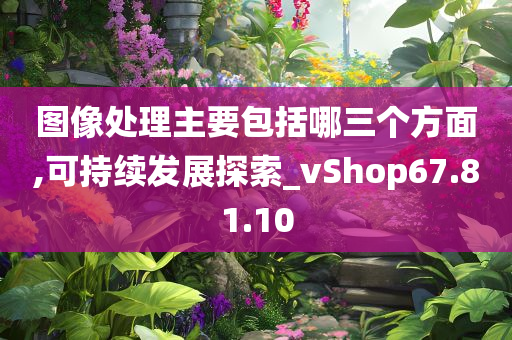 图像处理主要包括哪三个方面,可持续发展探索_vShop67.81.10