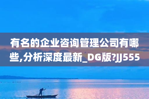 有名的企业咨询管理公司有哪些,分析深度最新_DG版?JJ555