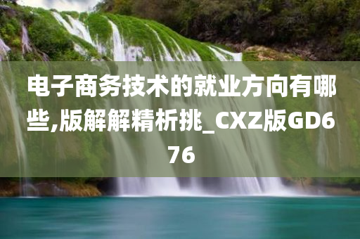 电子商务技术的就业方向有哪些,版解解精析挑_CXZ版GD676