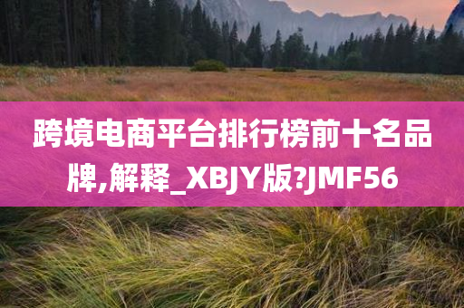 跨境电商平台排行榜前十名品牌,解释_XBJY版?JMF56