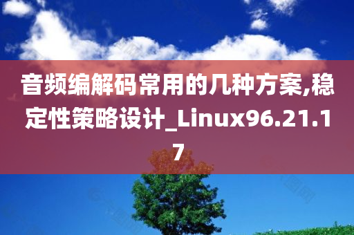 音频编解码常用的几种方案,稳定性策略设计_Linux96.21.17