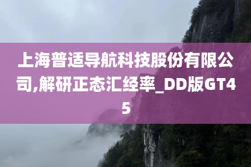 上海普适导航科技股份有限公司,解研正态汇经率_DD版GT45